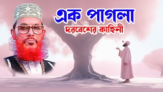 বটগাছের নিচে এক দরবেশের কাহিনী | মাওলানা দেলোয়ার হোসাইন সাঈদী | bangla waz waz | oaj |