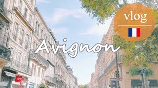 【南フランスかわいい街アヴィニョンとヴィルヌーブ・レ・ザヴィニョンの１日旅 . vlog】蚤の市／ワインの聖地ローヌ川／世界遺産／電車移動～フランス旅行DAY2