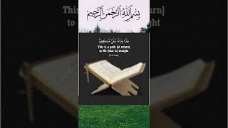 Qurani ayat with tarjuma in English | Quranic verses translation in English #youtubeshorts #quran