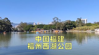 最美人间西湖景，漫步福州西湖公园 | 漫游中国 | 福建福州 | 云旅行 沉浸式 漫步 旅行 白噪音 CITY WALK