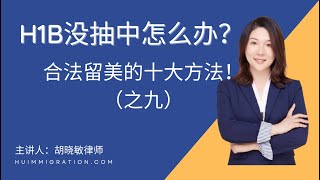 H1B没抽中怎么办？合法留美十大方法！（九）