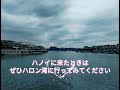 【ベトナムハロン湾ツアー】シンツーリストでお得に有意義な1dayツアー