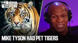 Mike Tyson Slept in the Same Bed With His Pet Tigers (2013)