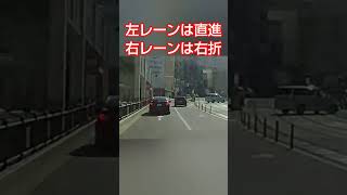 これが通行区分違反というやつです。 #shortsvideo #shortvideo #迷惑運転 #違反 #交差点 #危険運転