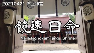 石上神宮　奈良県天理市　Isonokami Jingu Shrine  Nara Prefecture