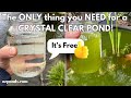 The ONLY thing you NEED for a CRYSTAL CLEAR POND