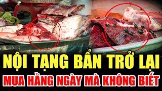 ⚠️ CẢNH BÁO: NỘI TẠNG BẨN TRỞ LẠI - BÍ MẬT ĐẰNG SAU | LỜI CẢNH BÁO THVL | CHUYỆN CẢNH BÁO 2025