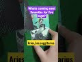 Next 3 months for Fire sign#aries#leo#saggitarius#shortsvideo#tarotreading#shorts#youtubeshorts