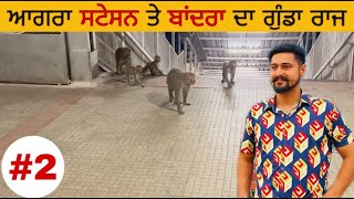 ਆਗਰਾ ਸਟੇਸਨ ਤੇ ਬਾਂਦਰਾ ਦਾ ਗੁੰਡਾ ਰਾਜ || Monkey Gang In Agra Station || #2