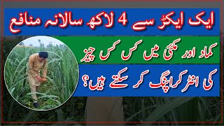 Inter-cropping of vegetables in sugarcane crop| How to get more profits from agriculture lands