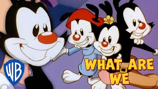 Animaniacs SING-ALONG 🎤 | What Are We? | WB Kids
