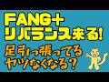 来るか！？FANG+銘柄入れ替え ！！スノーフレイクは生き残れるのか！！