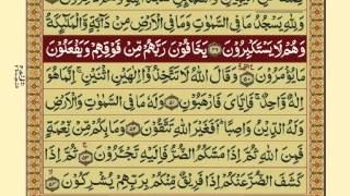 Quran-Para14/30-Urdu Translation
