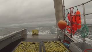 Setting Lobster Trawl