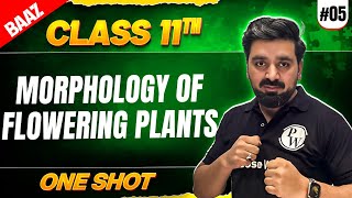 JKBOSE Class 11th Biology | MORPHOLOGY OF FLOWERING PLANTS | One Shot | Baaz Batch