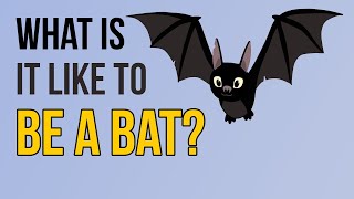 What is it like to be a BAT? By Thomas Nagel (complete)