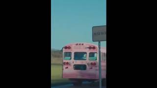 Melanie Martinez- Wheels on the bus  (official video)