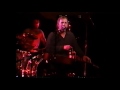 jeff healey acoustic gems rare