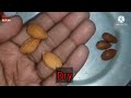 naturoz popular california almonds bought online at great discount unboxing and review