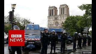 Paris's Notre-Dame Attack: Man shouted "This is for Syria" - BBC News