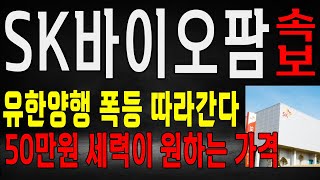 SK바이오팜 유한양행 폭등 따라간다! 50만원 목표가 가능성!