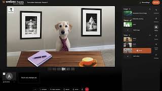Sponsorship and Streaming in Webex Events Production Studio