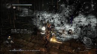 仁王（Nioh）　鵺　ノーダメ　守護霊＆レベル上げ縛り