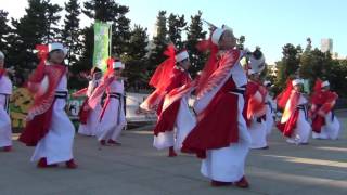 草加ふささら祭り'16 WF会場 壱夢 - 火の鳥