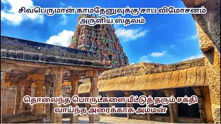 அரைக்காசு அம்மன் ஆலயம் - #புதுக்கோட்டை #பிரகதாம்பாள் #திருகோக்கர்ணம்