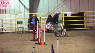 Hickstead - UKI Spring Cup