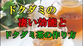 ドクダミの凄い効能とドクダミ茶の作り方！