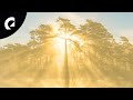 Megan Wofford - Mindful