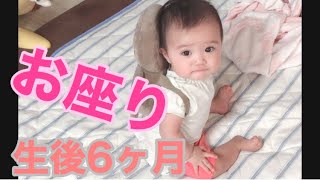 生後6ヶ月ver.お座りマスターへの道