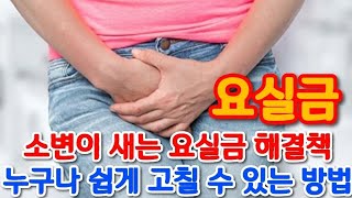 소변이 새는 요실금 누구나 쉽게 고칠수있는 방법 및 해결법 3가지로 완벽 개선하세요