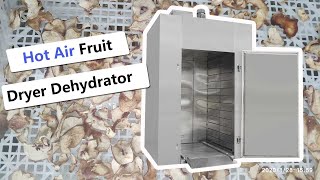 Industrial Peach Dryer Machine Fruit Dehydrator ( Factory Price)