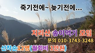 죽기전에~더 늦기전에 지리산 자연산 송이먹기 모임 모집(선착순12명)문의 010-3743-3248#구독 #좋아요 #지리산 #귀촌 #송이버섯