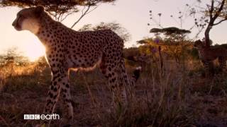 BBC Earth - Lanseres 14. april