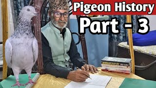 Pigeon History of India ! Rampuri Kabootar ! Shahjahanpuri Kabootar!Jaipur Tonk Pigeons