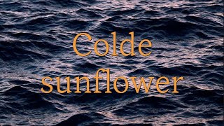 [가사/lyrics] 콜드 Colde - sunflower