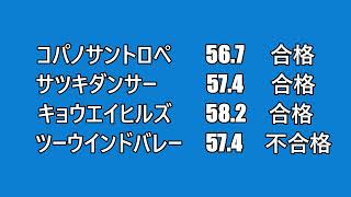 2022年5月21日　第5回水沢競馬　能力検査　水沢3R