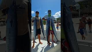 Aruba Deepsea Fishing Charter Experience (Wicked Wahoo) - Aruba Bound Charters