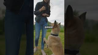 How Pets Improve Your Mental Health #facts #shortvideo #animals #smallpets #love #love