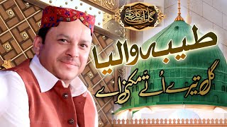 Taiba Waleya Gal Tere Othey Mukni Ae ShahBaz Qamar Fareedi heart Touching Punjabi Naat Sharif