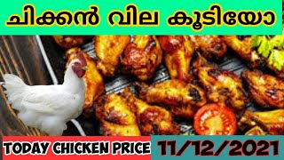 Today Chicken Price Malayalam/Broiler chicken Rate/11/12/2021/ചിക്കന്റെ ഇന്നത്തെ വില