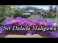 Sri Dalada Maligawa |ශ්‍රී දළදා මාලිගාව | Kandy