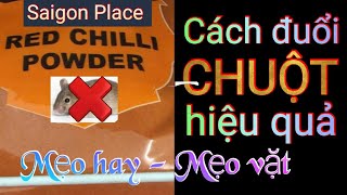 Cách đuổi CHUỘT hiệu quả nhất - Mẹo hay - Mẹo vặt  - @SaigonPlace