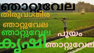 NJATTUVELA.BRIEF DESCRIPTION ABOUT NJATTUVELA/ എന്താണ് ഞാറ്റുവേല.