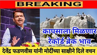 कापसाला मिळणार रेकॉर्ड ब्रेक भाव| 2024-2025 मध्ये कापसाला मिळणार चांगला भाव देवेंद्र फडणवीस|