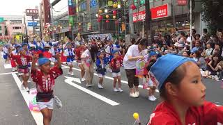 第33回南越谷阿波踊り 藍響連 中央通り