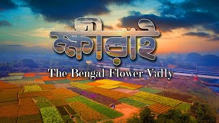 ক্ষীরাই বাংলার ফুলের উপত্যকা।Khirai - the flower valley of Bengal(vlog)